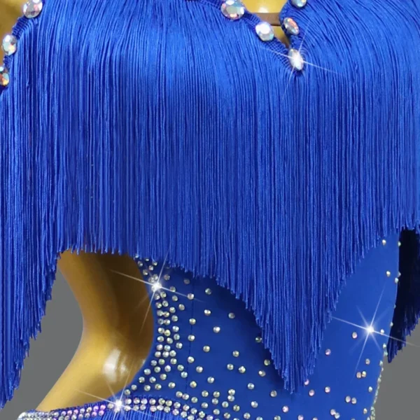 Sexy Vestido de Baile Latino para Mujer con Falda y Flecos - Estilo y Movimiento en Cada Paso - Imagen 6